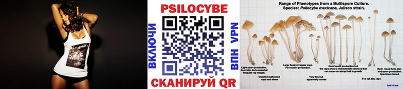 Псилоцибиновые грибы GOLDEN TEACHER  Люберцы 