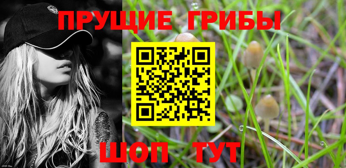 Псилоцибиновые грибы ЛСД Люберцы
